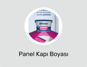 Panel Kapı Boyası