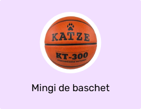 Mingi de baschet