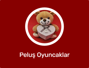 Peluş Oyuncaklar