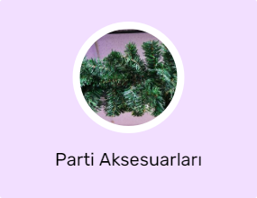 Parti Aksesuarları