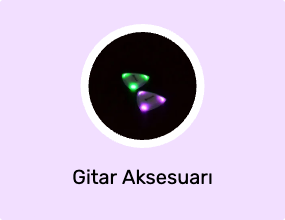 Gitar Aksesuarı