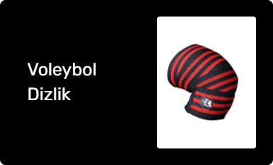 Voleybol Dizlik