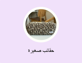 حقائب صغيرة