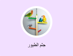 جثم الطيور
