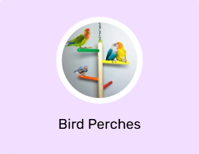 Bird Perches