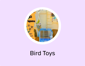 Bird Toys