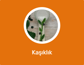 Kaşıklık