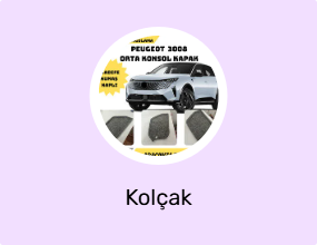 Kolçak