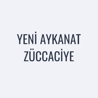 YENİ AYKANAT ZÜCCACİYE