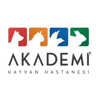 Akademi Store