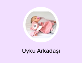 Uyku Arkadaşı