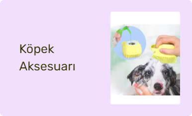 Köpek Aksesuarı
