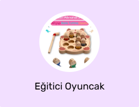 Eğitici Oyuncak