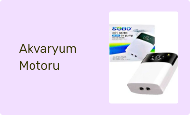 Akvaryum Motoru