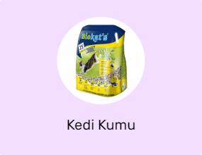 Kedi Kumu