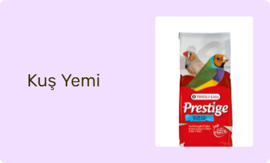 Kuş Yemi