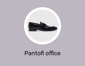 Pantofi office
