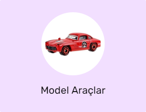 Model Araçlar