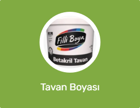 Tavan Boyası