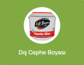Dış Cephe Boyası