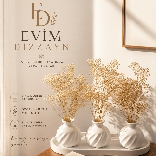 Evim dizzayn