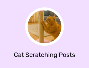 Cat Scratching Posts