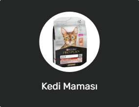 Kedi Maması