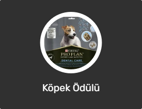 Köpek Ödülü