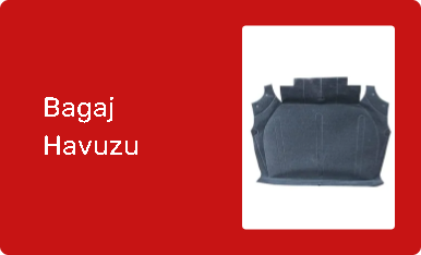 Bagaj Havuzu