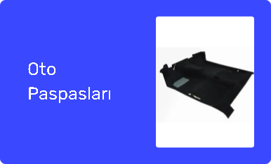 Oto Paspasları