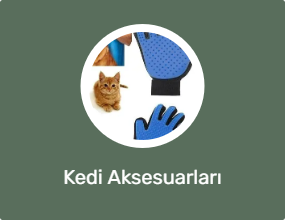 Kedi Aksesuarları