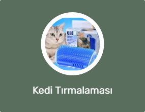 Kedi Tırmalaması