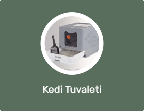 Kedi Tuvaleti