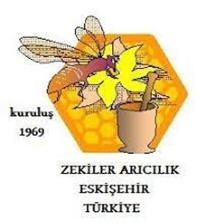 ZEKİLER DOĞAL