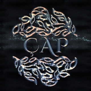 ÇAP