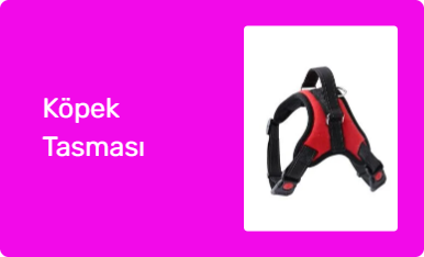 Köpek Tasması