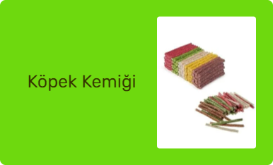 Köpek Kemiği