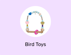 Bird Toys
