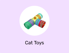 Cat Toys