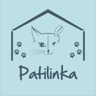 Patilinka logo
