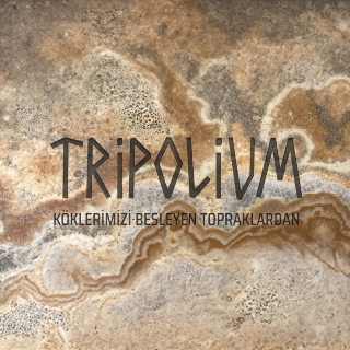 Tripolium