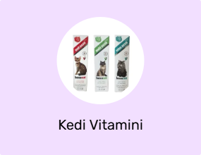 Kedi Vitamini