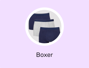 Boxer