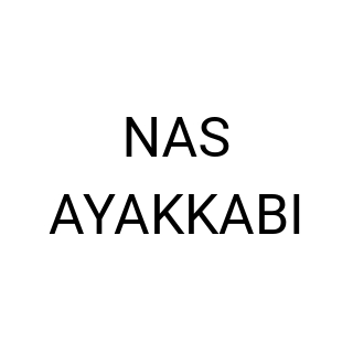 NAS AYAKKABI