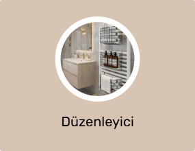 Düzenleyici