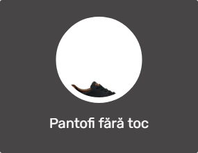 Pantofi fără toc