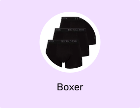 Boxer
