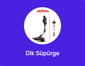 Dik Süpürge