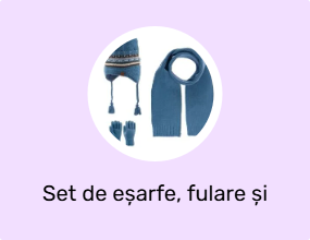 Set de eșarfe, fulare și mănuși