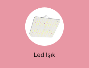 Led Işık